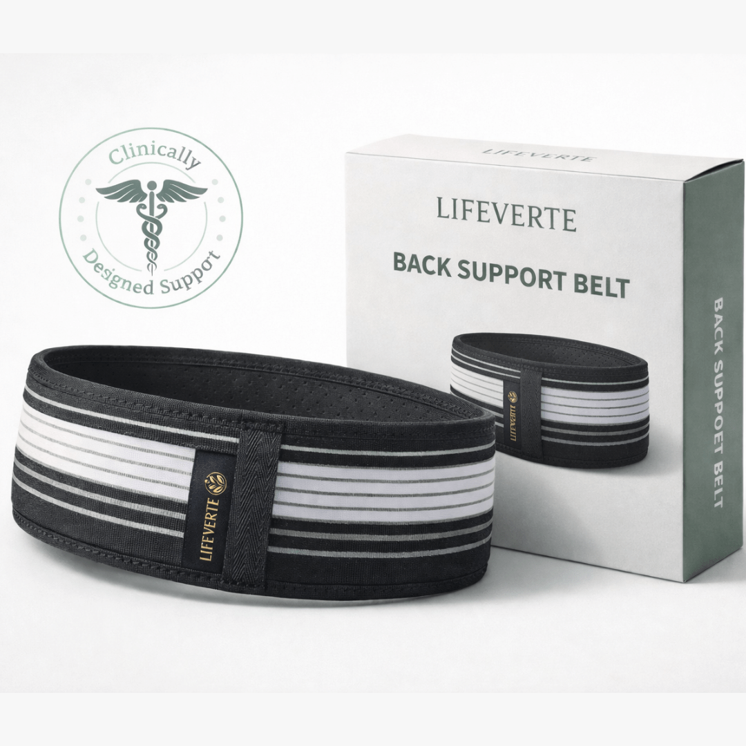 LifeVerte Back Support Belt