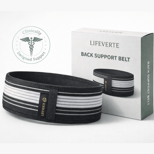 LifeVerte Back Support Belt